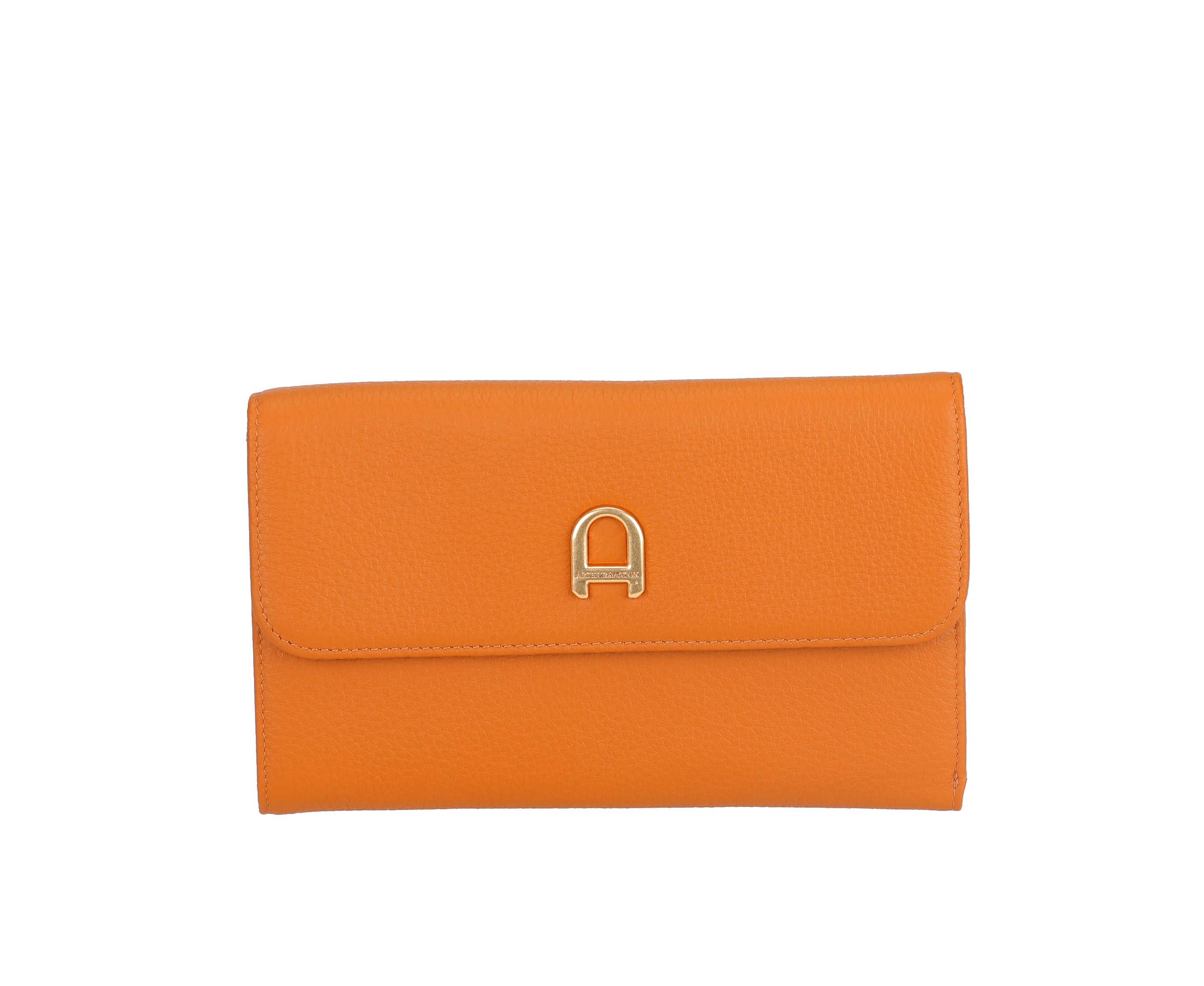 arthur-et-aston-camille-compagnon-cuir-bleu image 3